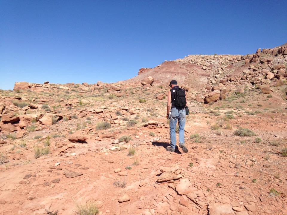 13165828_1245441265484621_5842717162582707401_n