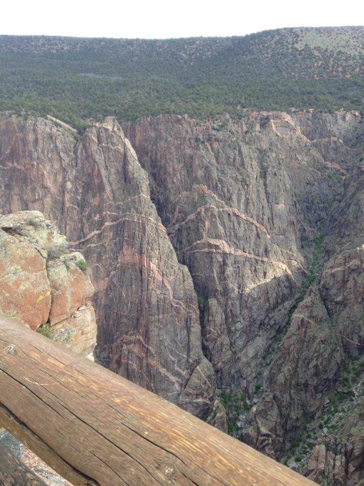 13165891_1242377975790950_9165239728834835992_n