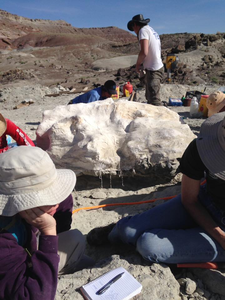 13165951_1247184715310276_4600907235664022061_n