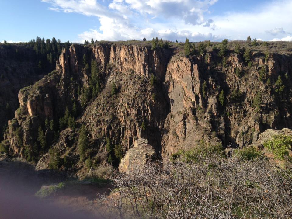 13165990_1242372292458185_263018932922047716_n