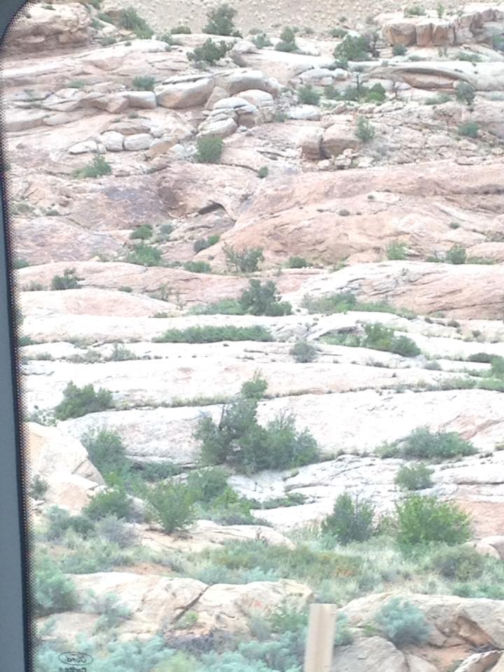 13166018_1242542039107877_2893868857389001527_n