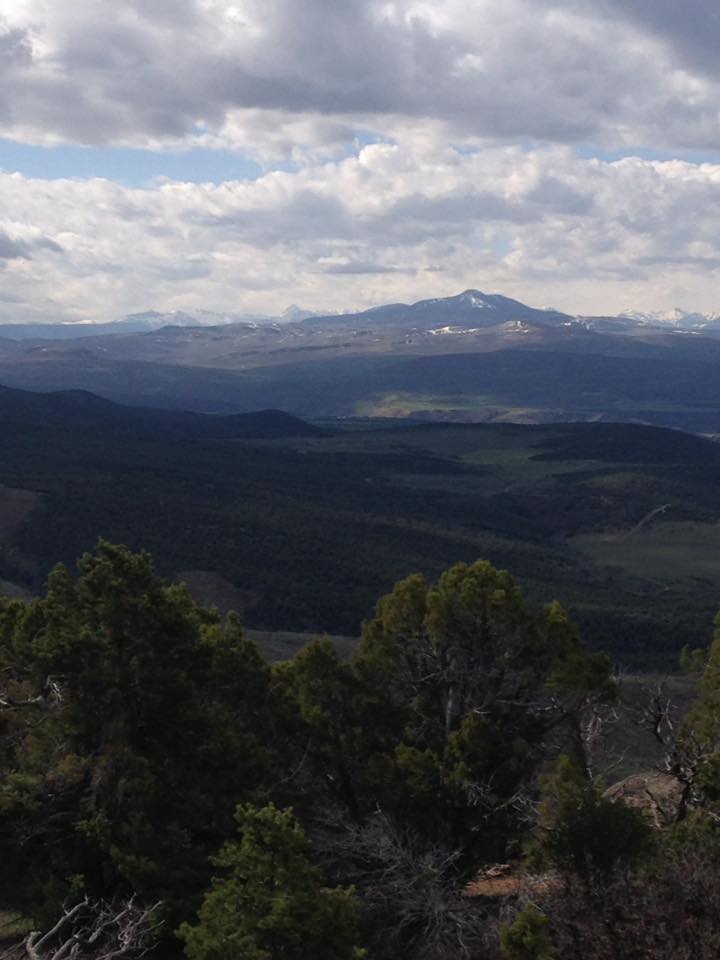 13166108_1242379275790820_5038996663258709800_n