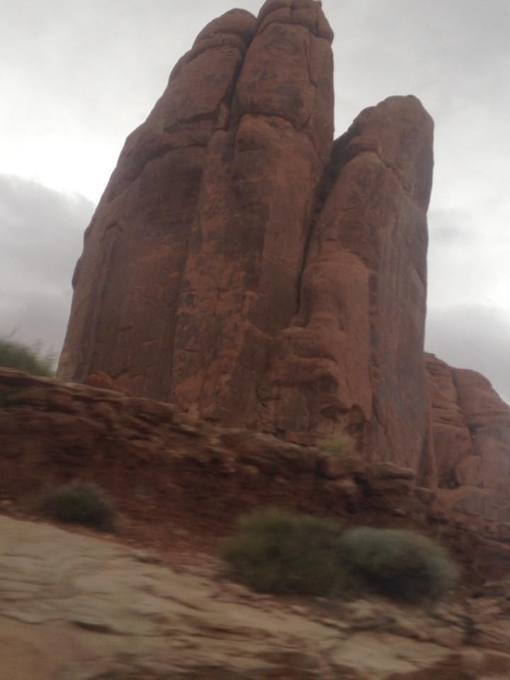 13173748_1242623522433062_5701766903012272193_n