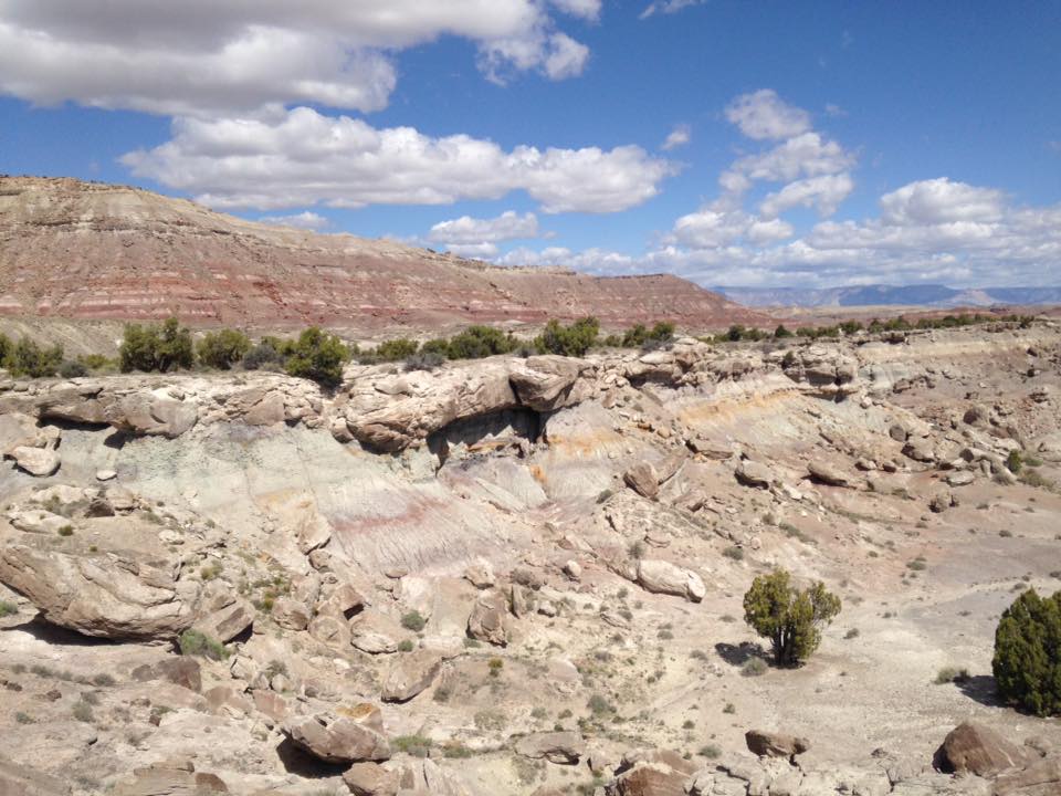 13173749_1244497608912320_7094198073857725457_n