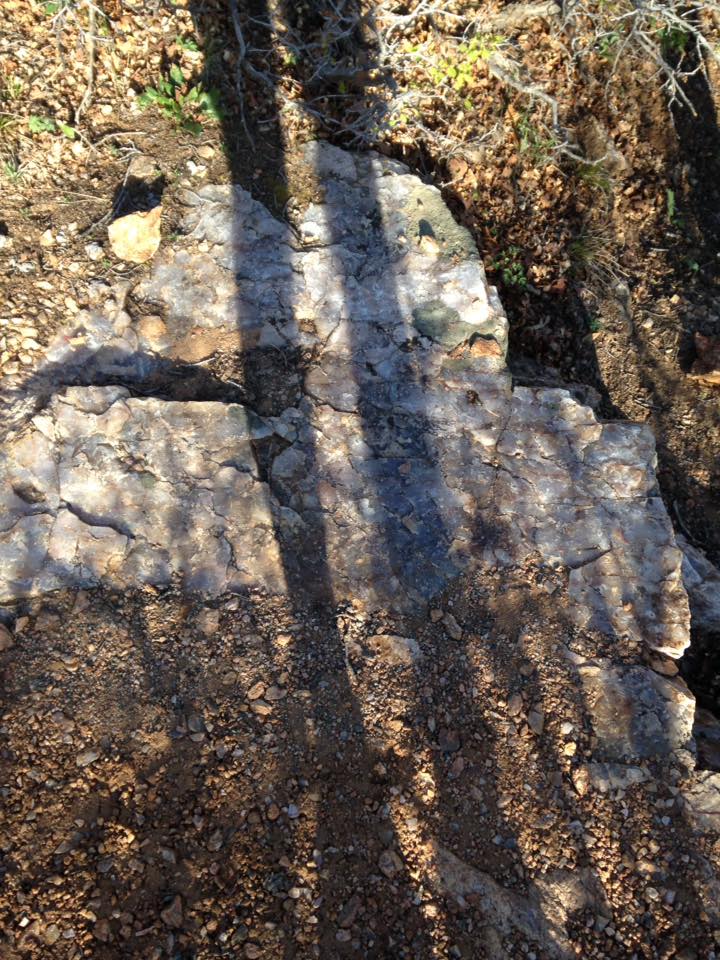 13173771_1242375122457902_858954427325442038_n