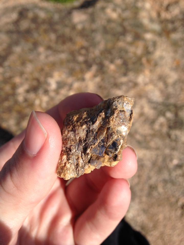 13173803_1242375685791179_1905734170254514872_n