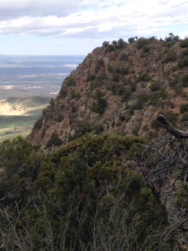 13173844_1242378555790892_6682292491306858665_n