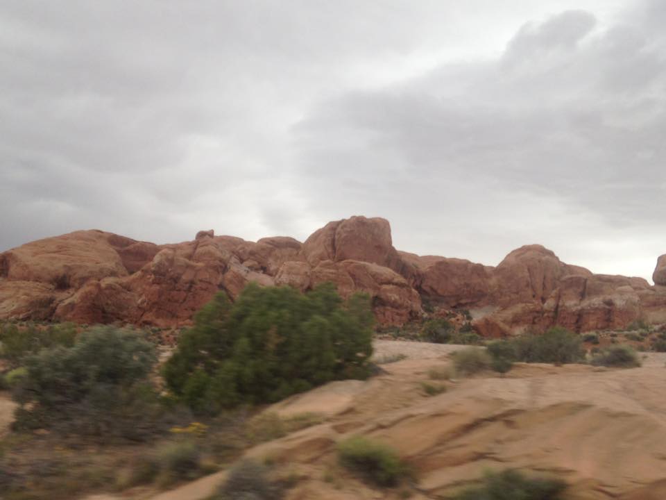 13173901_1242623395766408_7026469679754483556_n