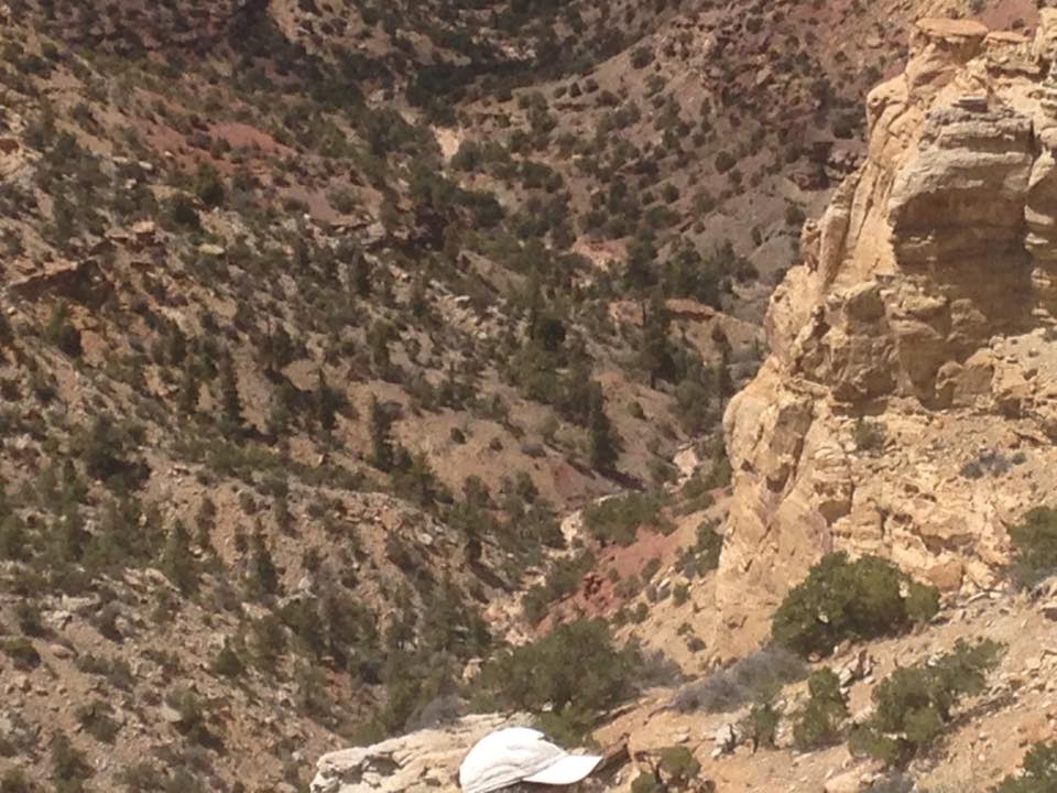 13173907_1243184725710275_5519955471062382005_n