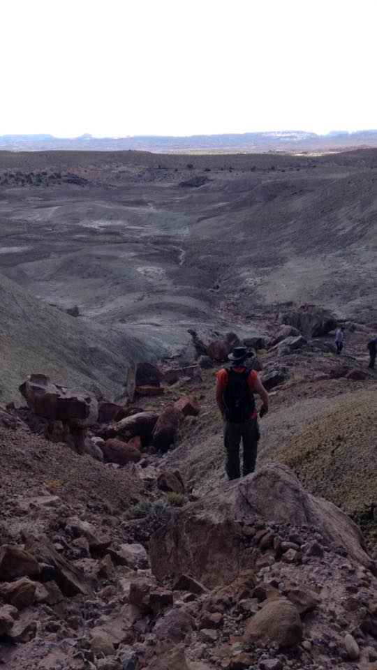 13173915_1244454975583250_2265685762275581972_n