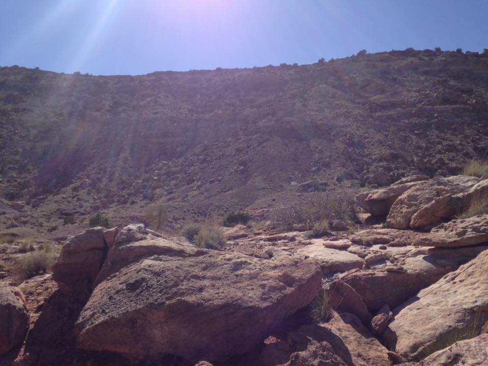 13173942_1245441172151297_3910825420890706118_n