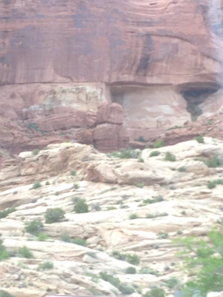 13173957_1242541962441218_8933637232069007523_n