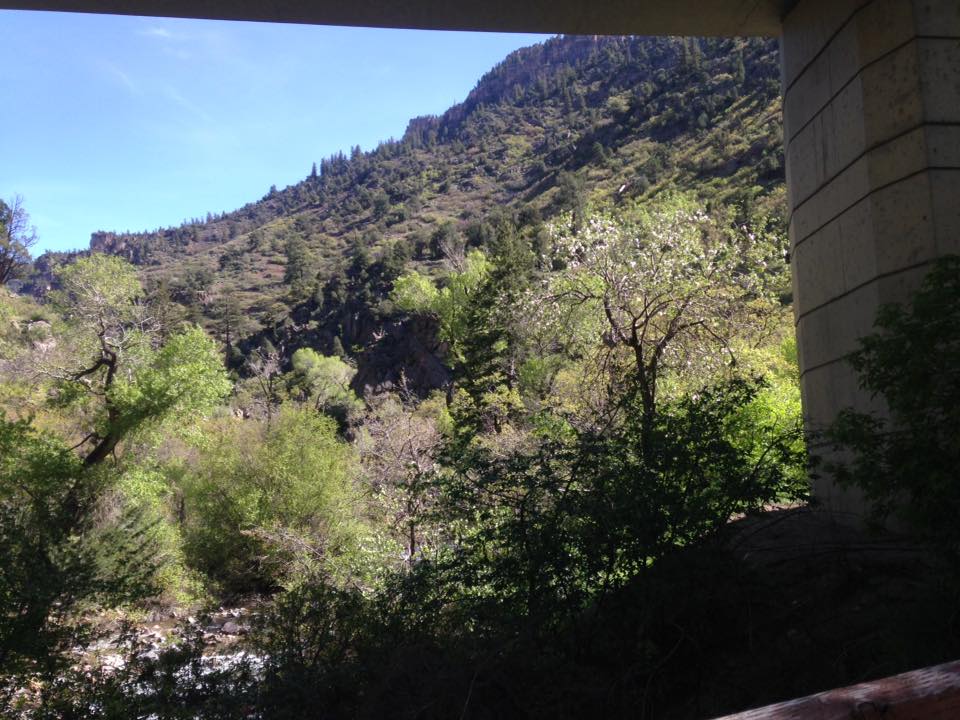 13174148_1247860141909400_7946795544633719894_n