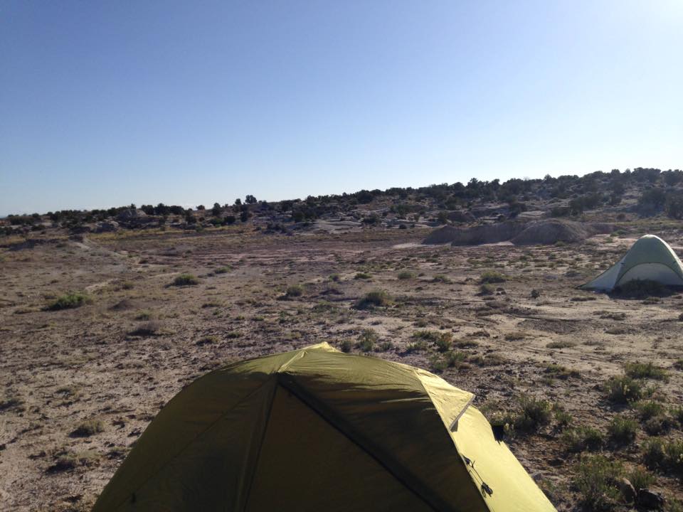 13174162_1244402422255172_1919383184703521478_n