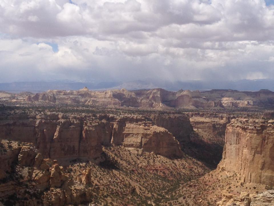 13177072_1243184679043613_1754189602920861306_n