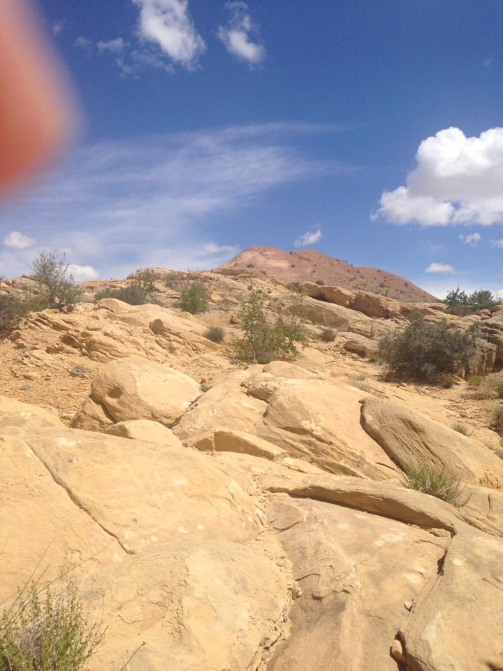 13177078_1243105222384892_2376187421139391455_n