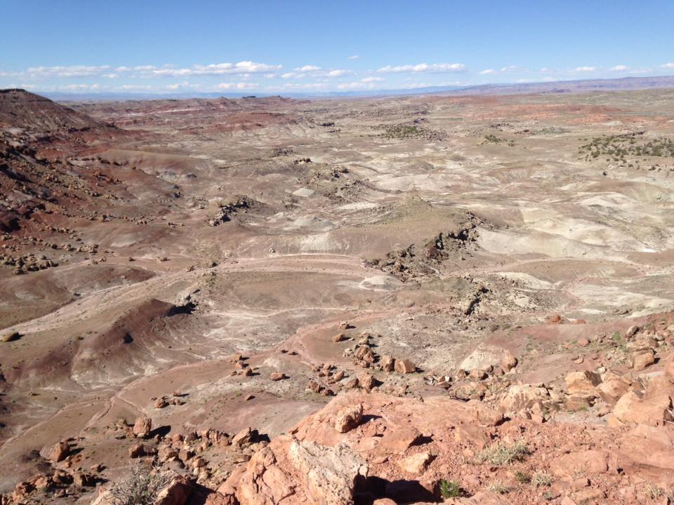 13177257_1245441202151294_4973544807447656517_n