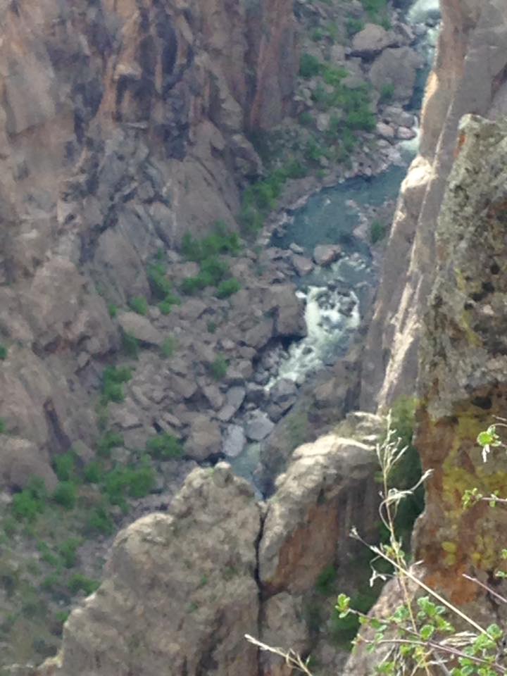 13177271_1242377865790961_2731792025569845811_n