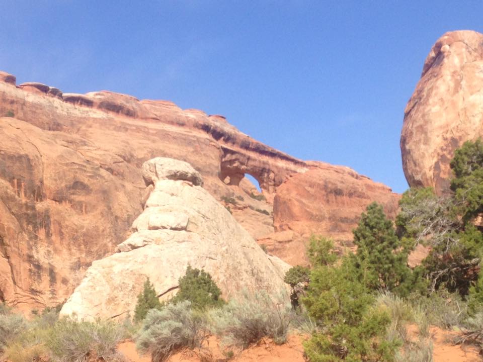 13177277_1243038772391537_3240416596658753918_n