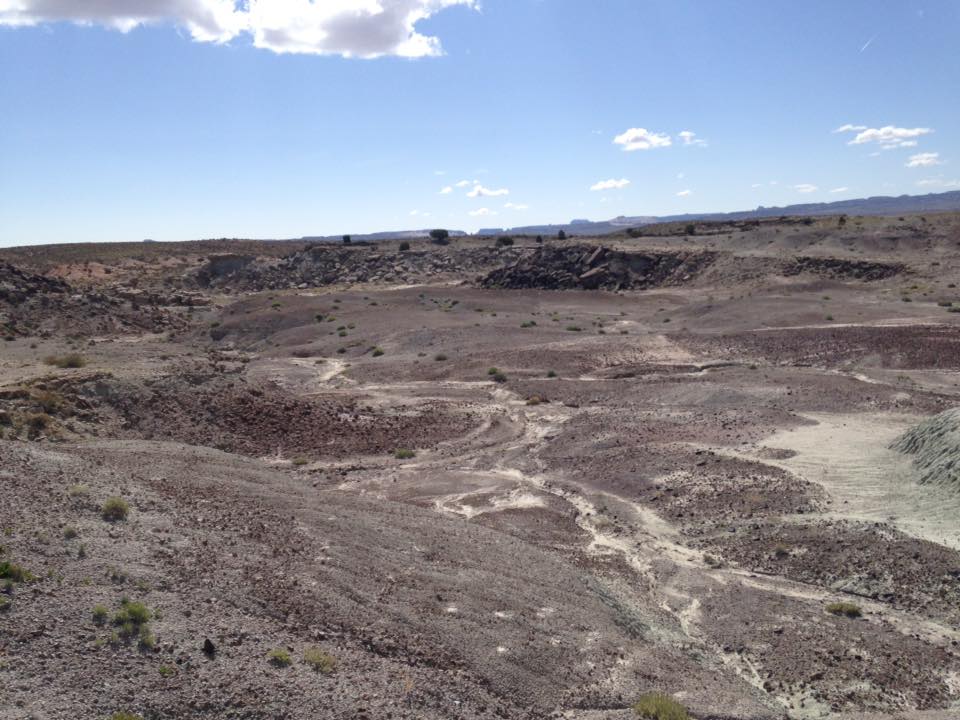 13177277_1244475898914491_7511417086703087677_n