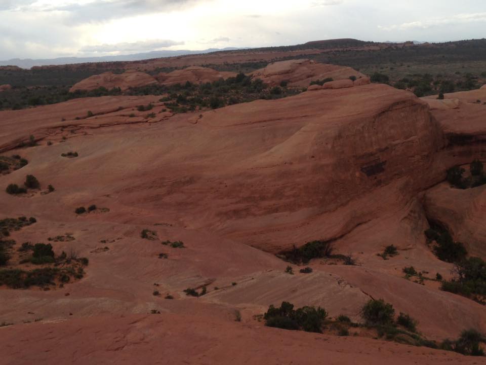 13177297_1242622482433166_4136348523318566589_n