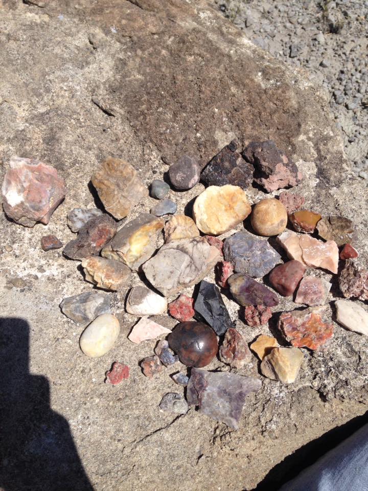 13177367_1244478872247527_7131978699424918299_n