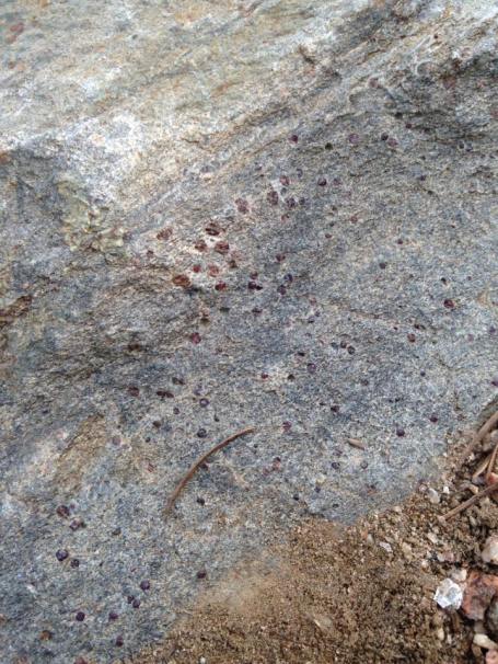 13177402_1242377689124312_6143792999963327008_n