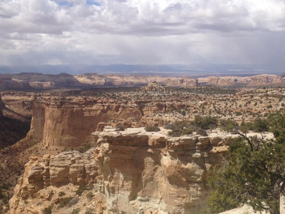 13177435_1243184745710273_7592981102425959468_n