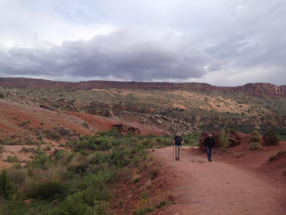 13177450_1242623389099742_8441590817168365601_n