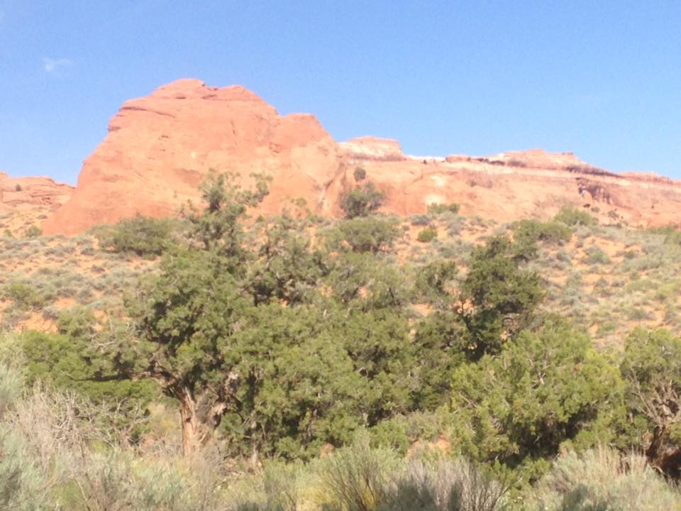 13177488_1243038882391526_7080790635515141870_n