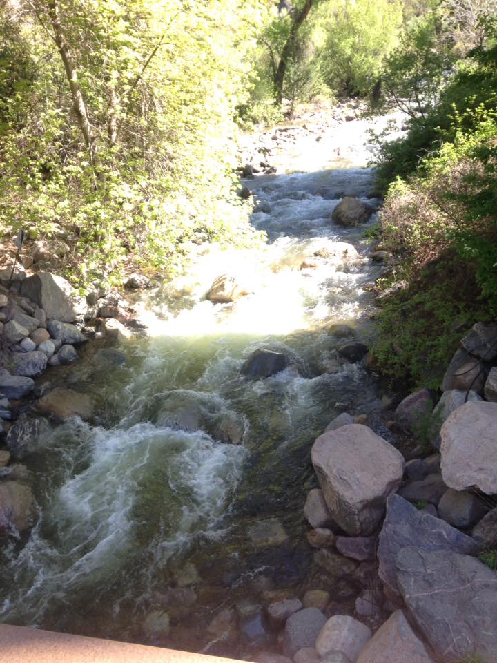 13177574_1247860101909404_964136040722811100_n