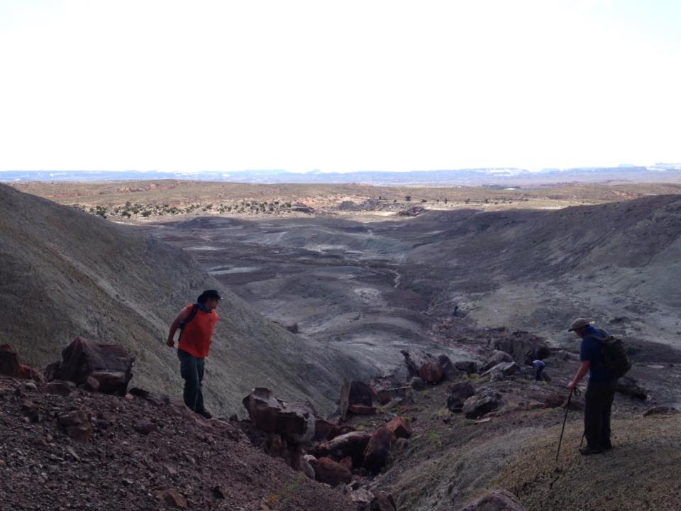 13177648_1244455035583244_4463173911119686061_n