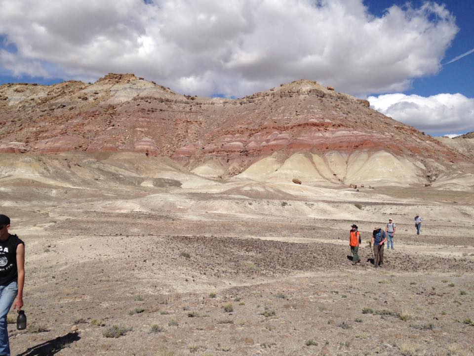 13177695_1244475862247828_964446808211817253_n