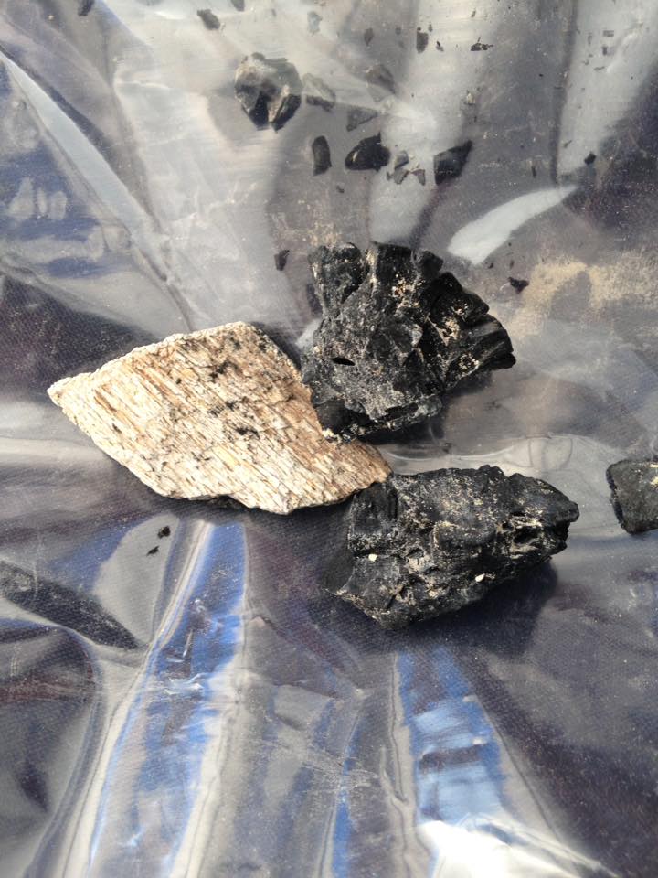 13177809_1244455198916561_2065301984344632933_n