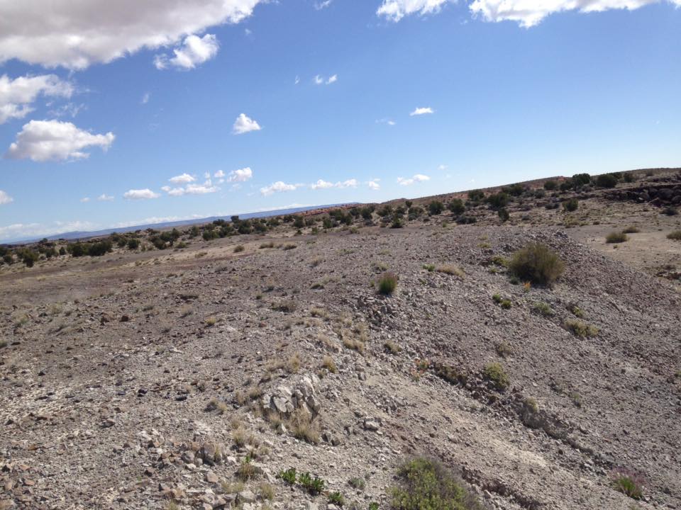 13177810_1244475875581160_6892454788926700033_n