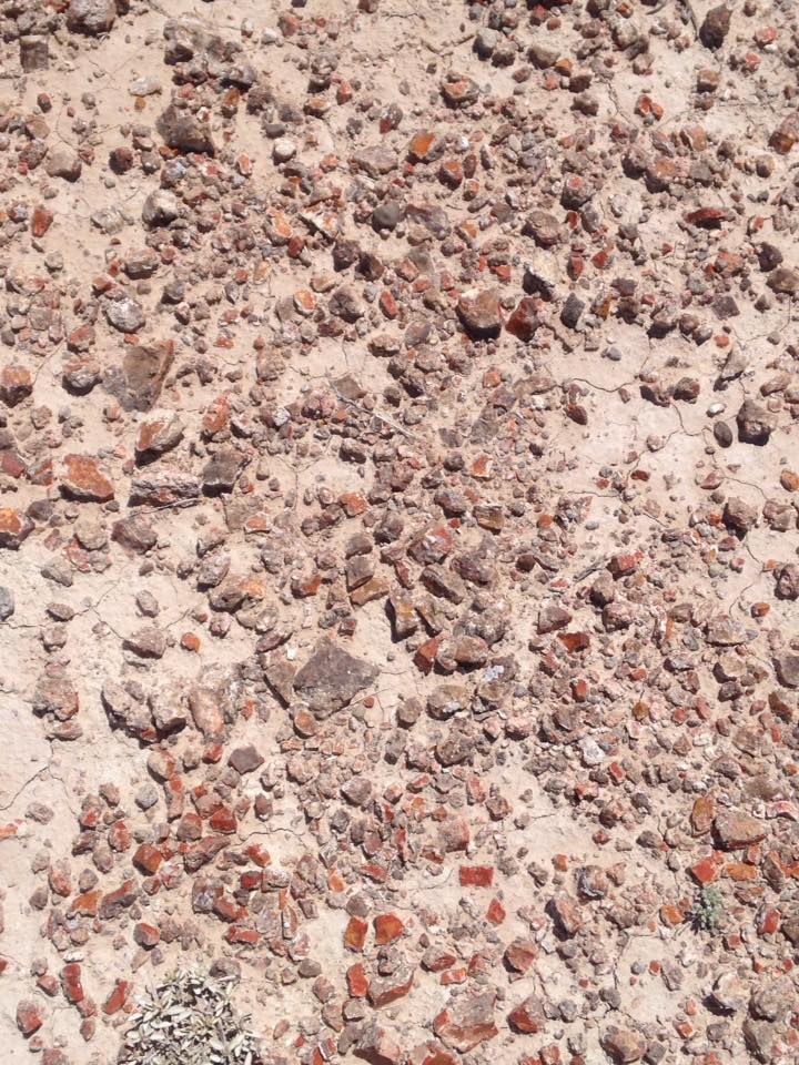 13177810_1246706232024791_1646398500890536323_n