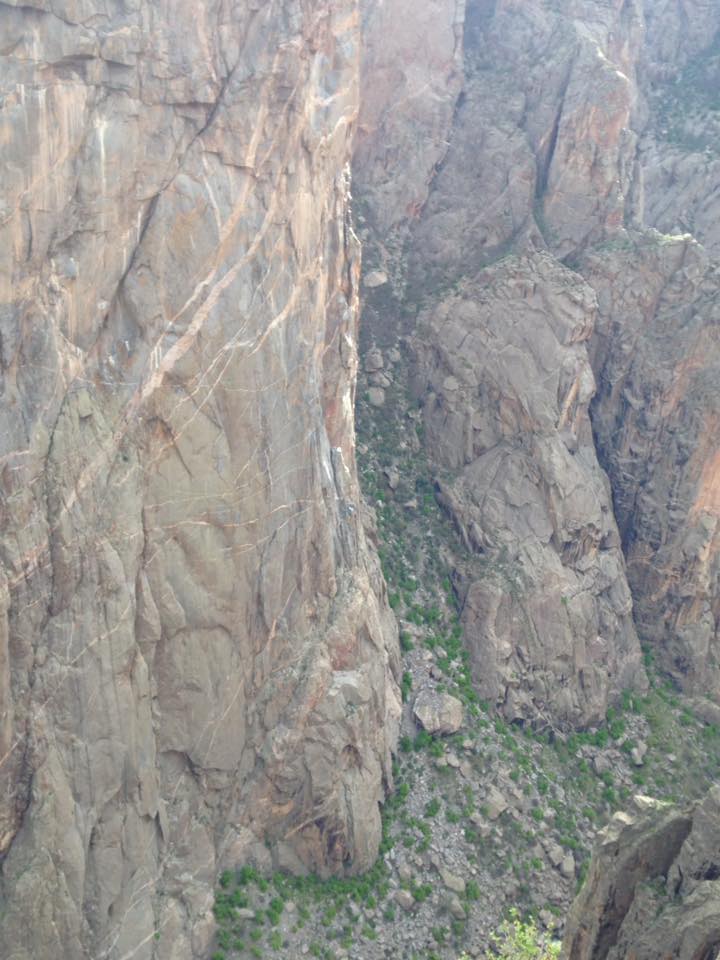 13177833_1242377902457624_1247012945848749737_n