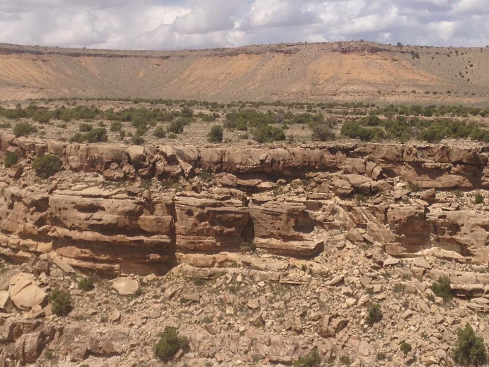 13177932_1243184842376930_775288008111895112_n