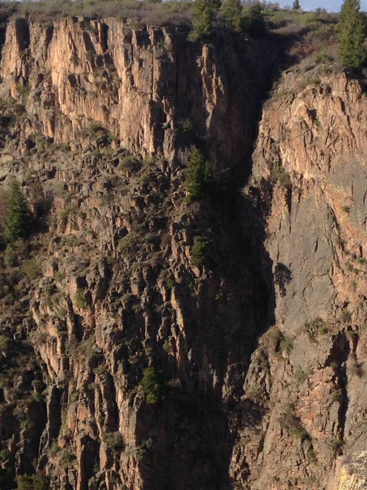 13177934_1242374825791265_5631728364499054219_n