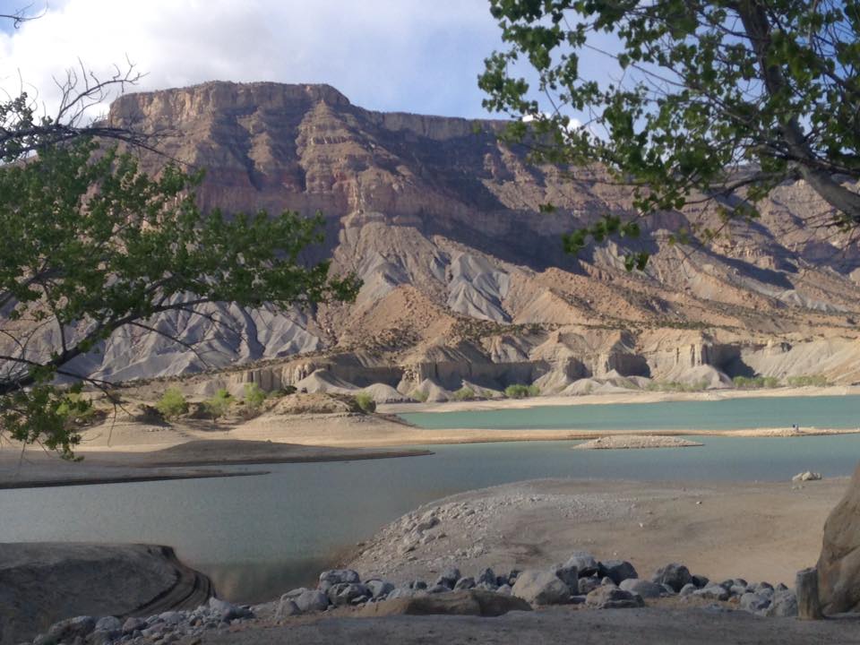 13177986_1243239995704748_4334380742718331683_n