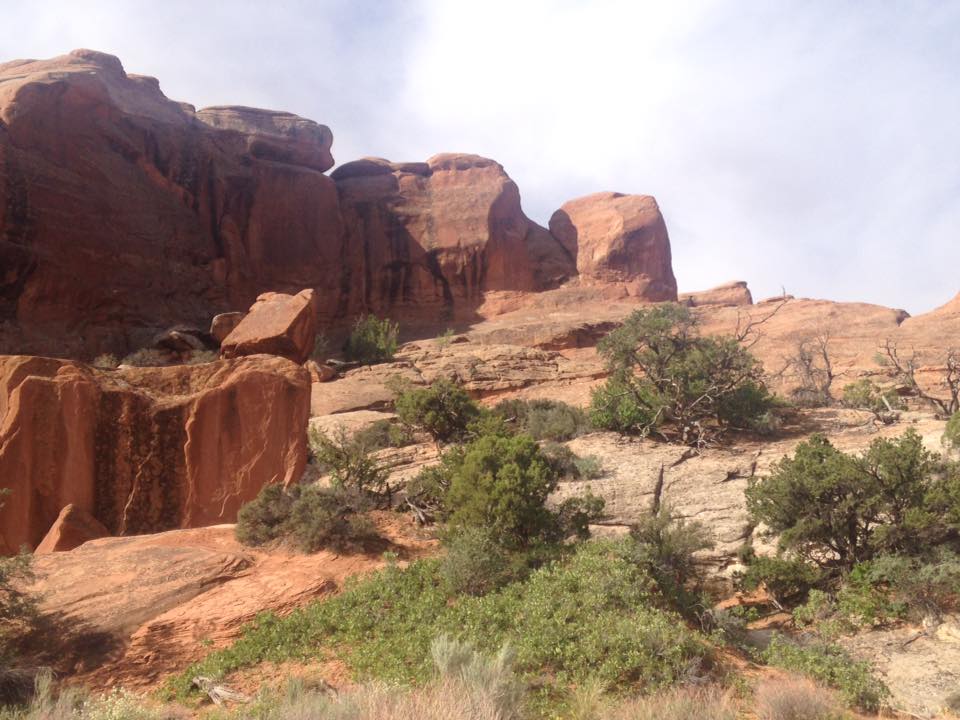 13178513_1243038915724856_8324993632051166392_n