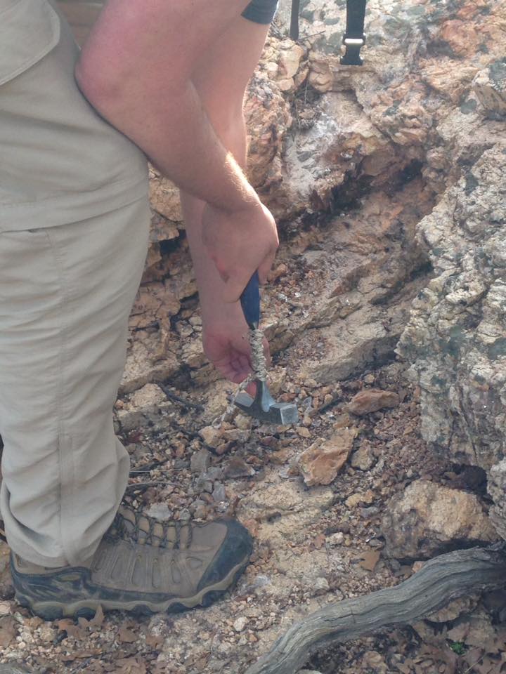 13178530_1242377659124315_4591454313727421443_n