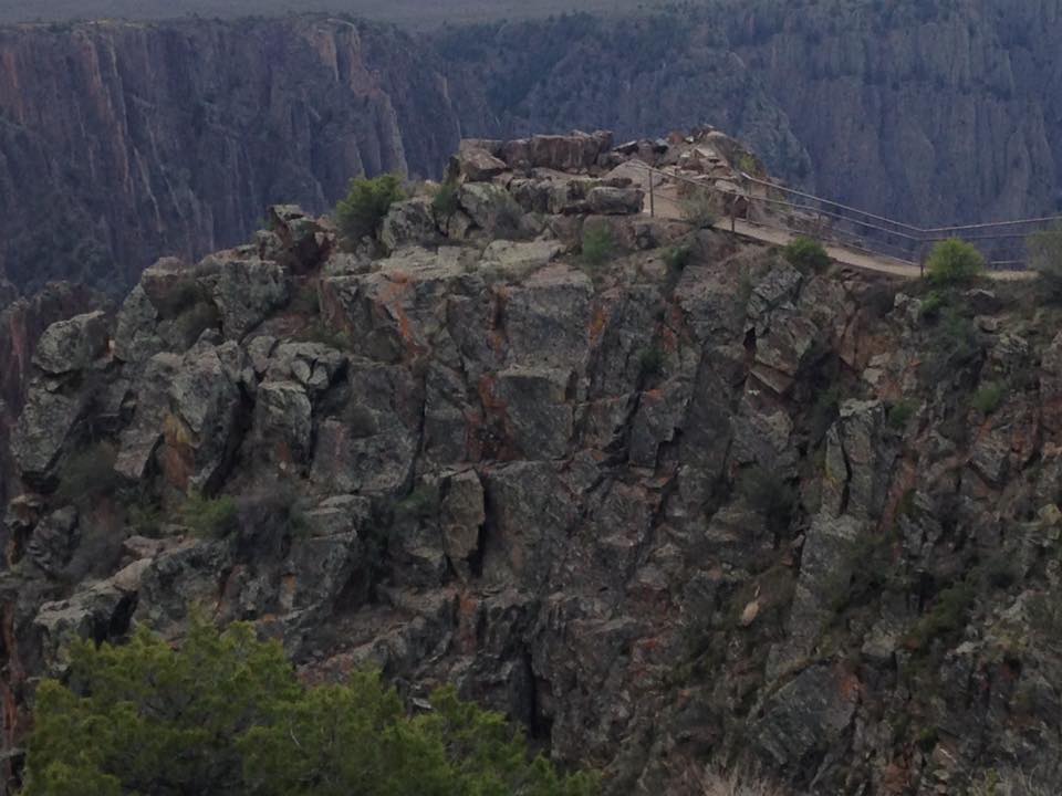 13178585_1242314259130655_8183681546062482443_n