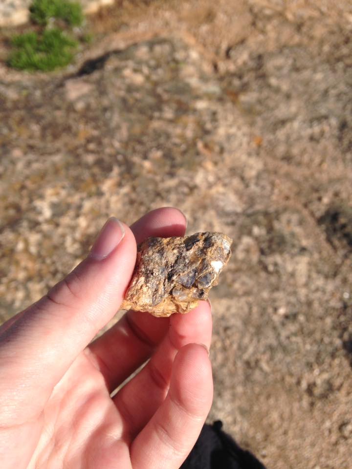 13178595_1242375715791176_7911763119598647573_n