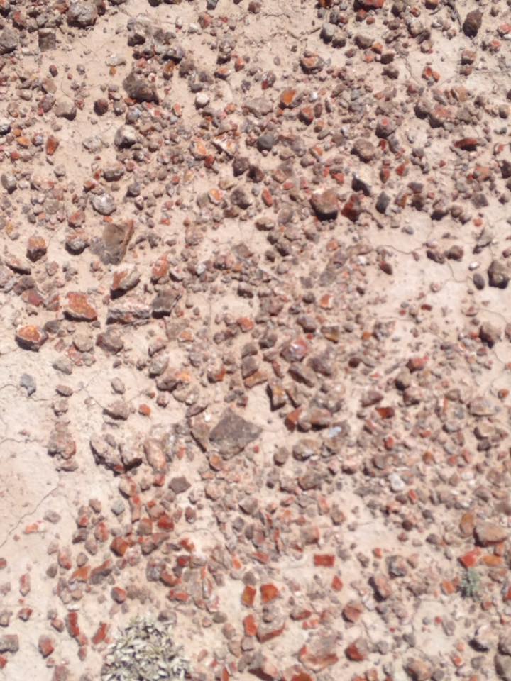 13178700_1246706278691453_1798374451350444784_n