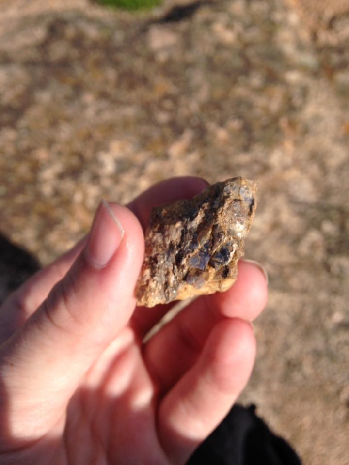 13178755_1242375699124511_3020094228629815193_n