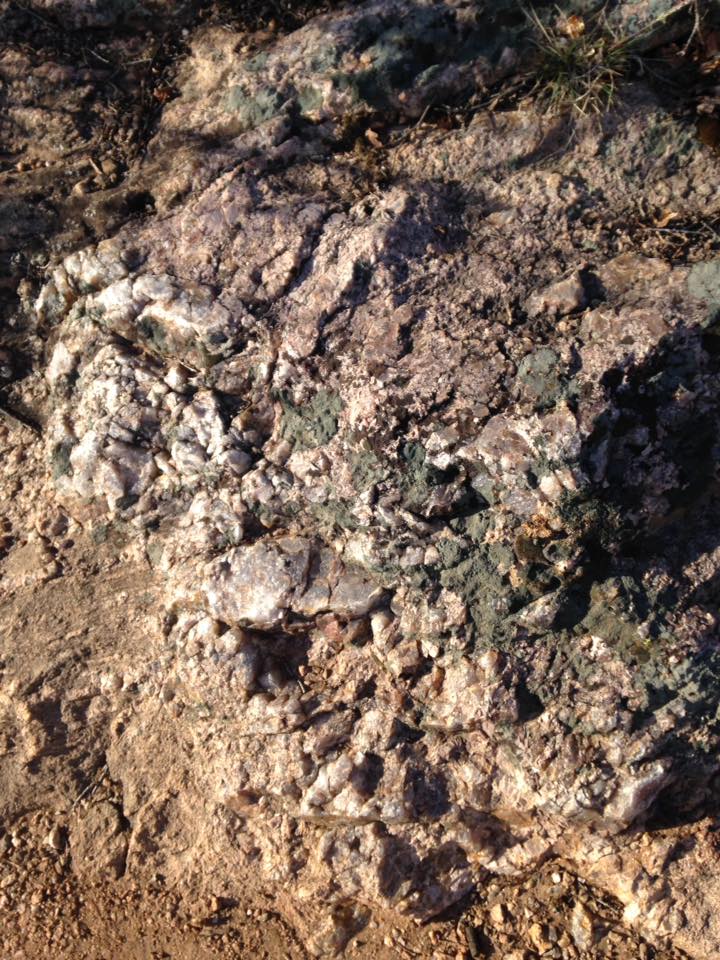 13178768_1242375099124571_2095924112531344305_n