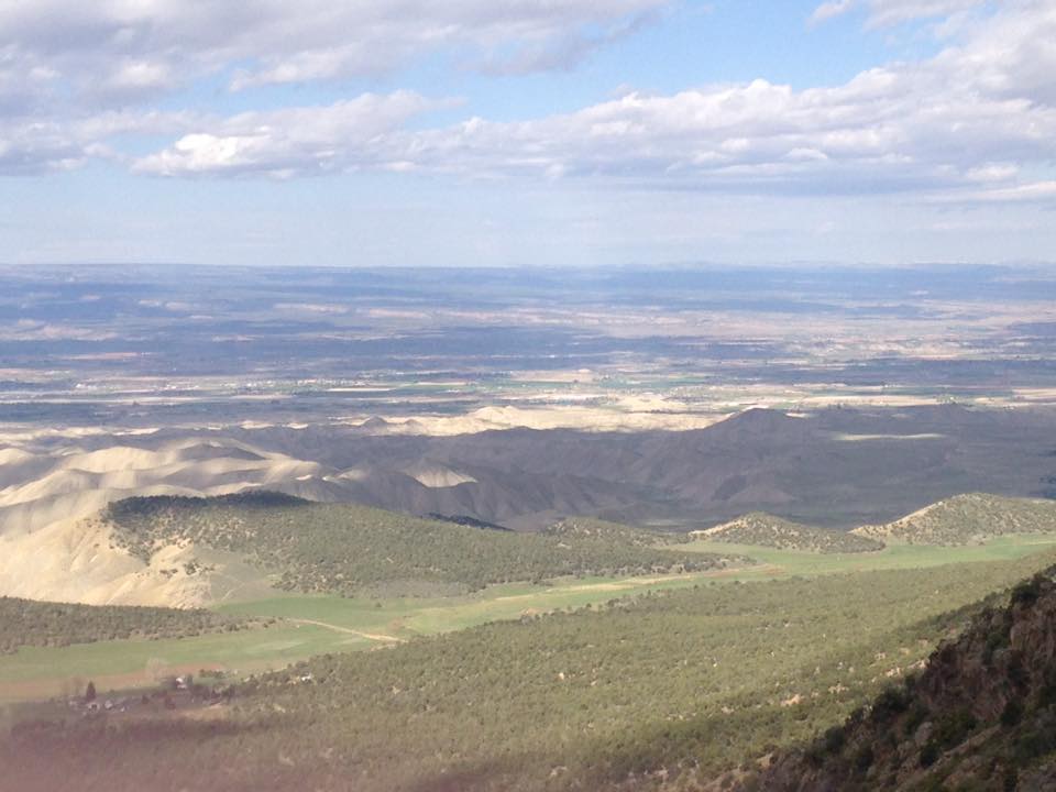 13178775_1242379279124153_8608734455482158976_n