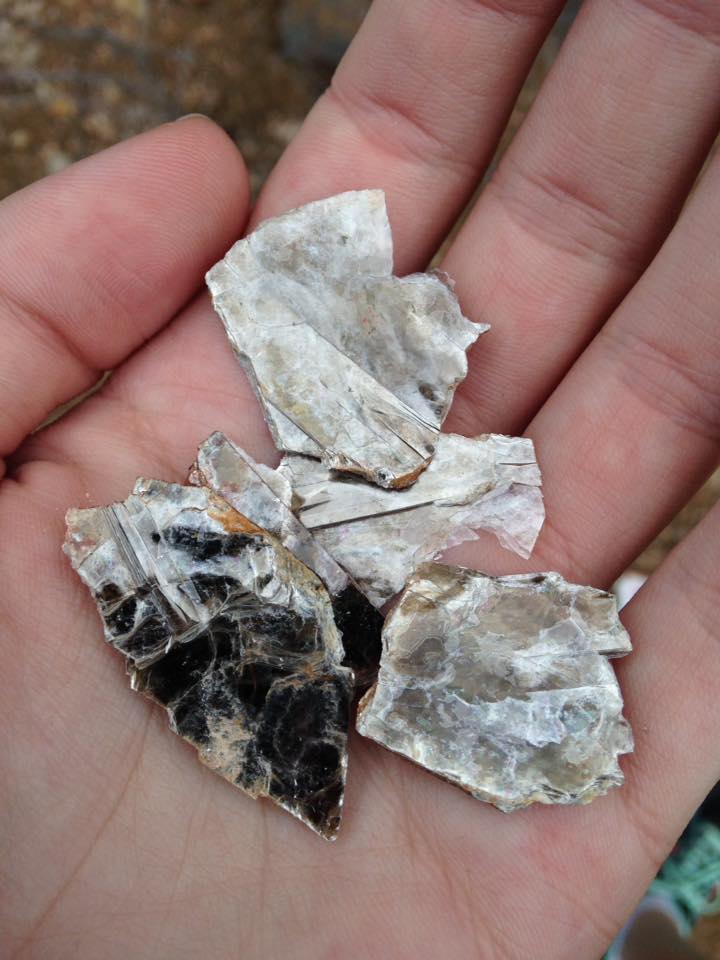 13178799_1242377852457629_1174969549828613744_n