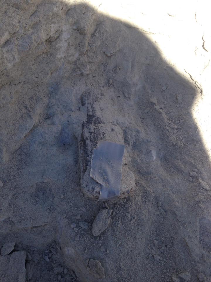 13178807_1246090358753045_3447990515025446210_n